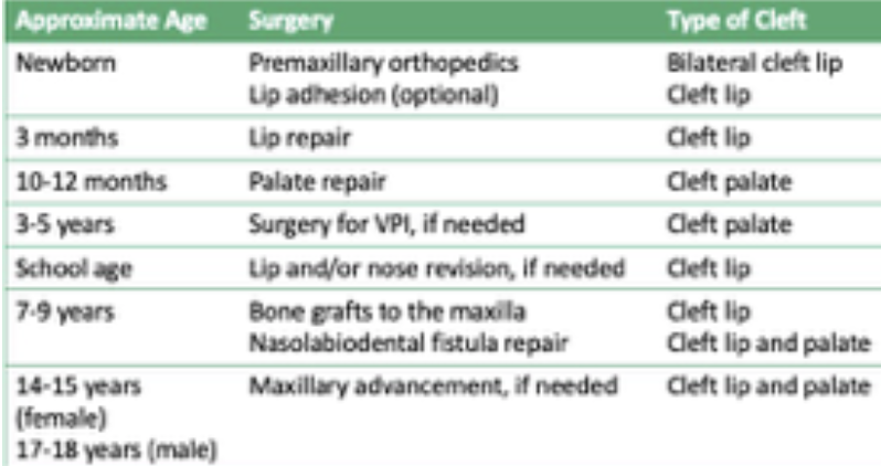 Type of Cleft